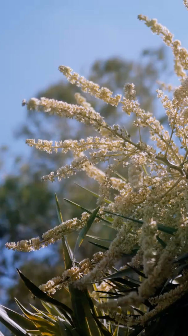 Christel's Hörbal hero visual placeholder.